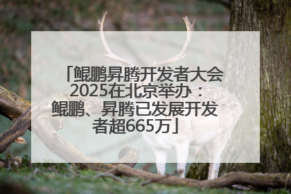 鲲鹏昇腾开发者大会2025在北京举办：鲲鹏、昇腾已发展开发者超665万