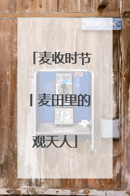 麦收时节丨麦田里的观天人