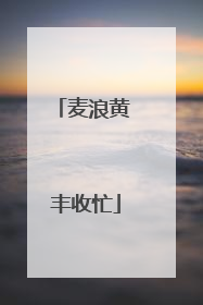 麦浪黄 丰收忙