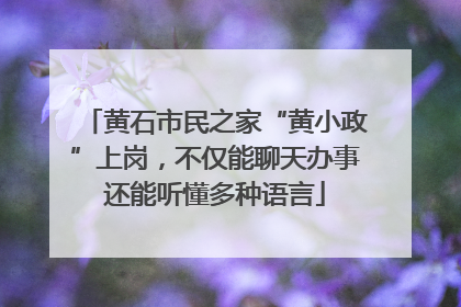 黄石市民之家“黄小政”上岗，不仅能聊天办事还能听懂多种语言