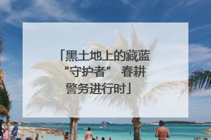 黑土地上的藏蓝“守护者” 春耕警务进行时