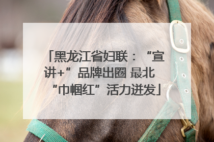 黑龙江省妇联：“宣讲+”品牌出圈 最北“巾帼红”活力迸发