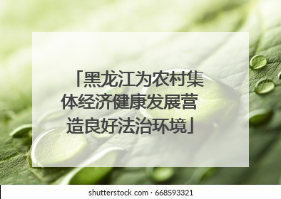 黑龙江为农村集体经济健康发展营造良好法治环境