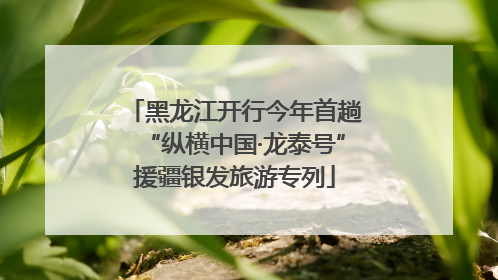 黑龙江开行今年首趟“纵横中国·龙泰号”援疆银发旅游专列