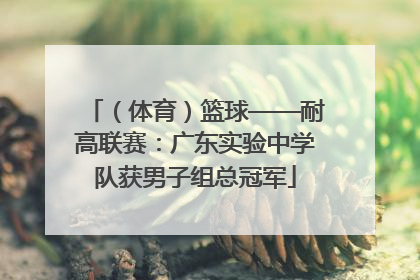 （体育）篮球——耐高联赛：广东实验中学队获男子组总冠军