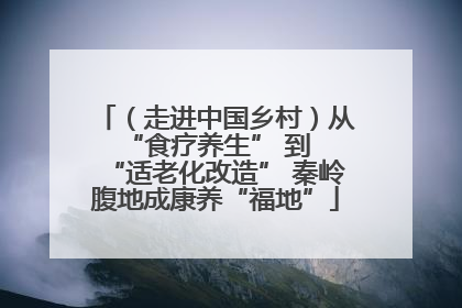 （走进中国乡村）从 “食疗养生” 到 “适老化改造” 秦岭腹地成康养“福地”