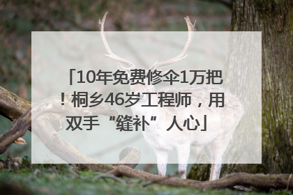 10年免费修伞1万把！桐乡46岁工程师，用双手“缝补”人心