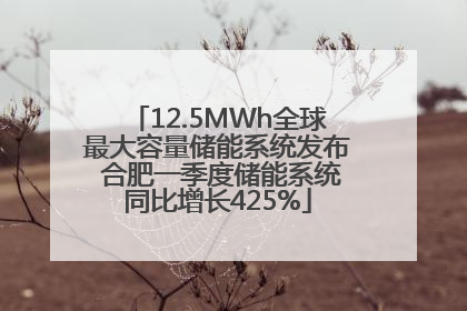 12.5MWh全球最大容量储能系统发布 合肥一季度储能系统同比增长425%