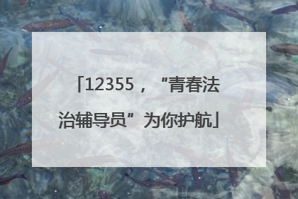 12355，“青春法治辅导员”为你护航
