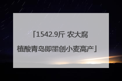 1542.9斤 农大腐植酸青岛即墨创小麦高产