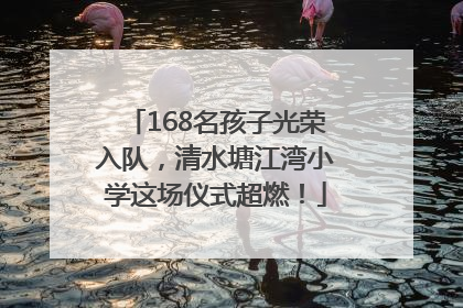 168名孩子光荣入队，清水塘江湾小学这场仪式超燃！