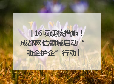 16项硬核措施！成都网信领域启动“助企护企”行动