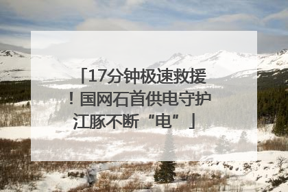 17分钟极速救援！国网石首供电守护江豚不断“电”