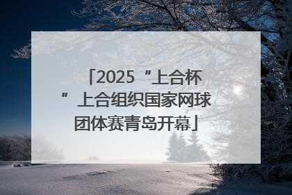 2025“上合杯”上合组织国家网球团体赛青岛开幕