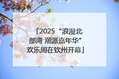 2025“浪漫北部湾 潮派嘉年华”欢乐周在钦州开幕