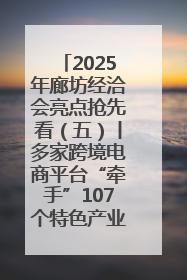 2025年廊坊经洽会亮点抢先看（五）丨多家跨境电商平台“牵手”107个特色产业集群