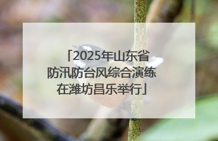 2025年山东省防汛防台风综合演练在潍坊昌乐举行