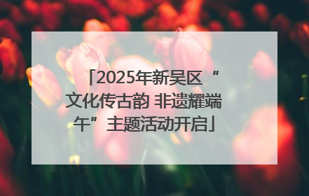 2025年新吴区“文化传古韵 非遗耀端午”主题活动开启