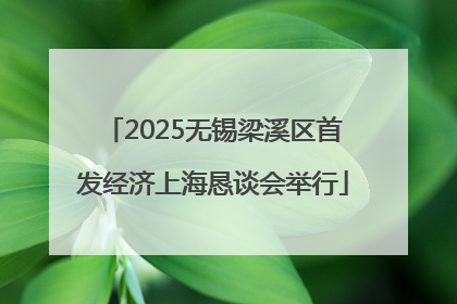 2025无锡梁溪区首发经济上海恳谈会举行