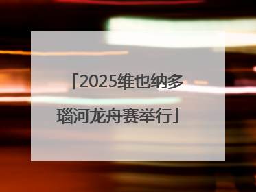 2025维也纳多瑙河龙舟赛举行