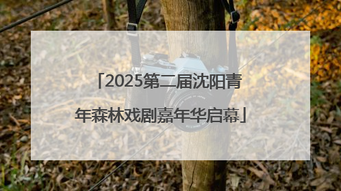 2025第二届沈阳青年森林戏剧嘉年华启幕