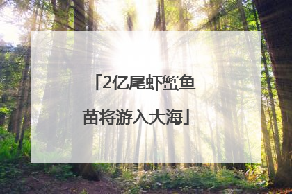 2亿尾虾蟹鱼苗将游入大海