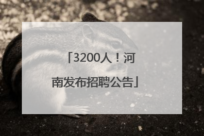 3200人！河南发布招聘公告
