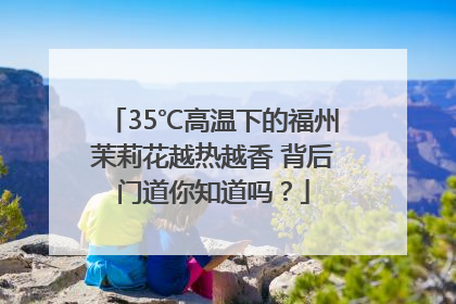 35℃高温下的福州茉莉花越热越香 背后门道你知道吗？