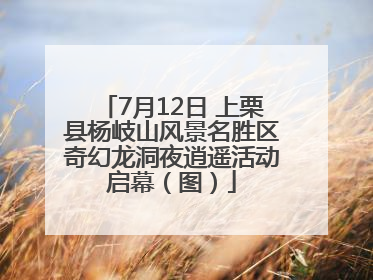 7月12日 上栗县杨岐山风景名胜区奇幻龙洞夜逍遥活动启幕（图）