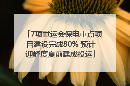 7项世运会保电重点项目建设完成80% 预计迎峰度夏前建成投运