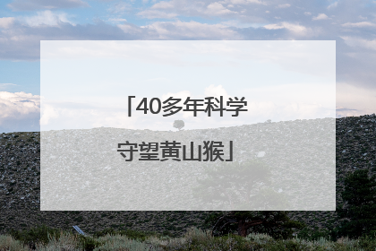 40多年科学守望黄山猴