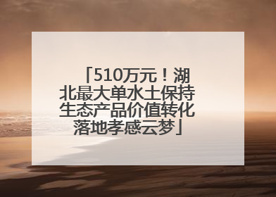 510万元！湖北最大单水土保持生态产品价值转化落地孝感云梦