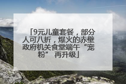 9元儿童套餐，部分人可八折，爆火的赤壁政府机关食堂端午“宠粉” 再升级