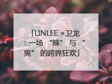LINLEE ×卫龙：一场 “辣” 与 “爽” 的跨界狂欢